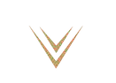 V Logo logo